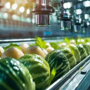 How Digital Traceability Systems are Transforming the Food Industry